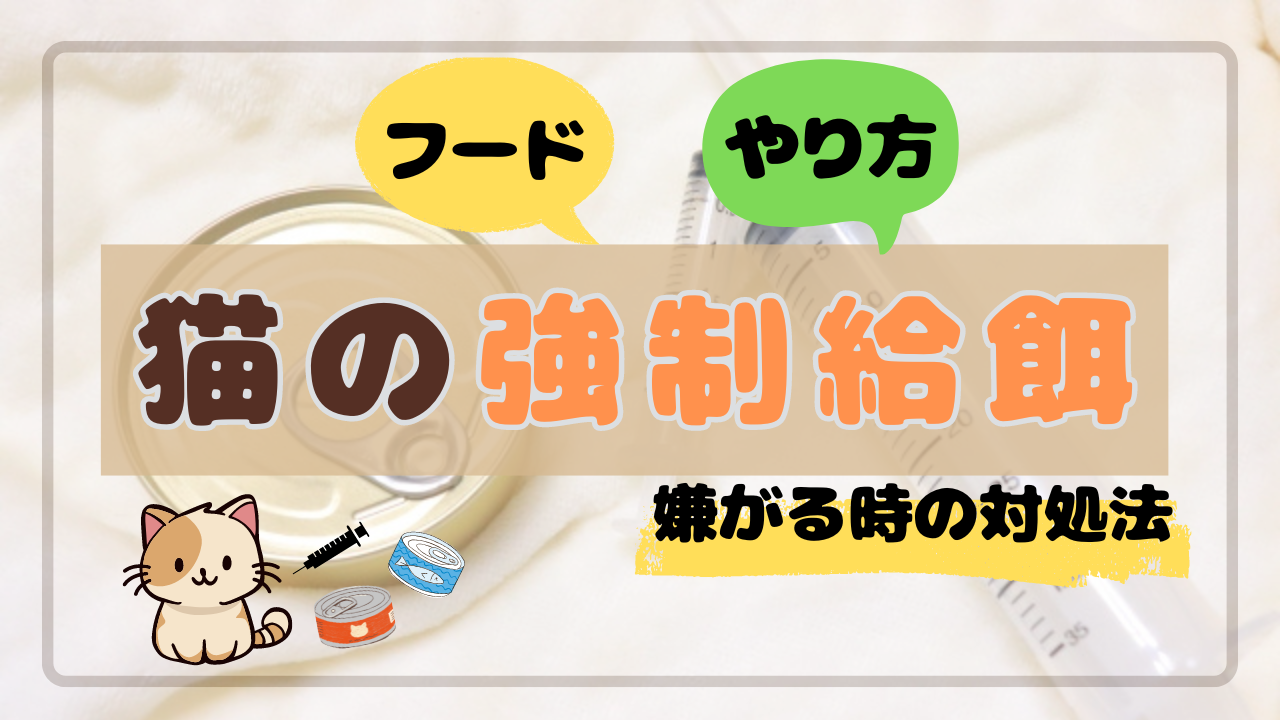 以下記事に適したSEOタイトルをつけてください。 こんにちは！メイ(猫・ラパーマ)の飼い主・Asumeiです！ 今回は「猫の強制給餌」についてお話していきたいと思います。 強制給餌は、獣医師の指導のもとで行い、猫のストレスを軽減するように行う必要があります。 しかし、猫に強制給餌をすることは簡単なことではありません。 今回は、猫の強制給餌のやり方（2パターン）・嫌がる場合の対処法・おすすめのフードなどをご紹介します。 猫の強制給餌とは？ 強制給餌とは？ 強制給餌とは、何らかの理由で自力で食べられなくなってしまったペットにシリンジや指を使って、強制的にフードを与えることです。 何らかの理由とは、病気・ケガ・高齢による食欲不振など様々な理由があり、強制給餌をすることによって、栄養がつき、治癒を迎える可能性が高くなります。 猫は、1日半（36時間）以上、ご飯を食べないと「肝リピドーシス（脂肪肝）」のリスクが高くなるといわれています。 肝リピドーシス（脂肪肝）とは、絶食状態になると、体内の脂質が肝臓に蓄積してしまい、引き起こされる肝臓疾患です。 症状は、体重減少・元気消失・食欲不振などがあり、最悪の場合、死に至るケースもあります。 そのため、愛猫が食欲不振に陥ってしまったら、そのまま様子を見るだけではなく、すぐに動物病院へ連れていく必要があります。 Asumei Asumei うちの猫・メイの場合は、肝臓の数値の悪化により、食欲不振に陥ってしまったため、強制給餌をするようになりました。 猫の強制給餌のやり方 強制給餌のやり方 猫の強制給餌は、強制的にフードを与えるため、最初は慣れるまでスムーズに行うことができないかもしれません。 猫の強制給餌は、大きく分けて2パターンのやり方があり、「シリンジ」もしくは「指」で与える方法があります。 ここでは、猫の強制給餌のやり方について、それぞれパターン別にご紹介していきます。 シリンジで強制給餌 シリンジとは、注射器の筒状の部分のことを指し、注射針がついていない注射器をイメージするとわかりやすいです。 ニプロの30mlのシリンジ ニプロの30mlのシリンジ シリンジのパッケージです。 このシリンジは、私が実際に動物病院で購入したもので、「ニプロの30ml」で本来は人間用の「経腸栄養注入セット」のようです。 注意点として、シリンジは、洗剤で洗ってしまうとガスケット（黒いゴムの部分）の滑りが悪くなるため、お手入れは、水洗いだけにしましょう。 【シリンジで強制給餌をするやり方】 シリンジにペースト状のフードを入れる。 猫の頭を左手で覆うように掴む 猫の口の端から、シリンジの先端を入れる シリンジの押子（プランジャー）を少しずつ押し、ペーストをゆっくり口の中に注入する 口からペーストがこぼれたら、ティッシュやウェットティッシュなどで、拭ってあげてください。 シリンジでの強制給餌は、慣れるまで時間がかかるかもしれません。 最初は、猫の口に少量ずつ注入することを心掛けてください。 Asumei Asumei 強制給餌のやり方は、文章だけだとイメージが湧きにくいと思うので、『三ツ池動物病院チャンネル』さまの動画を参考にすると、分かりやすいかと思います。 メイ メイ 動画の方が参考になるニャン！ 注入用注射器 /【ポスト投函送料無料】/ ペット用 ペット 動物用 動物 犬 猫 注入用 注射器 水 フード 薬 餌 メモリ付き シリンジ 食事 補助 水分 補給 介護 介助 日本製 happmore ハピモア スケーター 楽天市場で見る Amazonで見る 指で強制給餌【おすすめ】 「シリンジで挑戦してみたけど、上手くいかなかった…」 そんな方には、指で与える強制給餌をやってみると、うまくいく場合があります。 実際に私は、シリンジでの強制給餌がうまくできず、指での強制給餌を実践したら、成功しました。 ここでは、指で強制給餌をする方法をご紹介していきます。 【指で強制給餌をするやり方】 ペースト状のフードを人差し指に乗せる 猫の頭を左手で覆うように掴む 左中指を使って、猫の口を開く 猫の上あごに人差し指に乗せたペーストを塗る これを何回か繰り返し行います。 口からペーストがこぼれたら、ティッシュなどで拭ってあげるといいですね。 Asumei Asumei 『三ツ池動物病院チャンネル』さまの動画がとても分かりやすいので、実際に私も以下動画のやり方を参考にしました！ コツは、少量ずつ与えることで、ペーストを指に多めに取って与えてしまうと、むせてしまったり、誤嚥の危険性が高くなります。 実際に私は、朝、時間がないからと少し多めにペーストを指に取って強制給餌してしまい、メイが飲み込むのが大変そうだったときがありました。 幸い、メイは、誤嚥にはなりませんでしたが、今思えば危険な行為だったと反省しています。 Asumei Asumei 強制給餌は、口からペーストがこぼれることが多いため、下に新聞紙などの紙を引いておくと、後処理が楽になるので、おすすめです。 強制給餌に適したフード 強制給餌おすすめフード 私の経験上、どのようなウェットフードを選ぶかによって、強制給餌のやりやすさが随分異なると感じました。 例えば、具がゴロゴロ入っているウェットフードは、強制給餌には適さないと私は思っています。 なぜかというと… ・シリンジでの強制給餌の場合 大きい具があることによって、シリンジが目詰まりを起こしてしまい、上手く注入することができないから。 ・指での強制給餌の場合 具が大きすぎることによって、ウェットフードを指に取ったときに落ちてしまい、スムーズに猫の口に入れることができないから。 こういった理由から、強制給餌する際に使用するウェットフードは、完全なペースト状のものをおすすめします。 腎臓が悪い（腎不全）猫におすすめのフード 腎臓が悪い猫には、ヒルズの『猫用 腎臓ケア k/d 缶 ツナ入り』がおすすめです。 ヒルズ 猫用 キャットフード k/d 腎臓ケア ツナ入り 156g（缶詰） プリスクリプション・ダイエット 楽天市場で見る Amazonで見る メイは、肝臓だけでなく腎臓の数値も高いのでこの『ヒルズ プリスクリプション・ダイエット 猫用 腎臓ケア k/d 缶 ツナ入り』を強制給餌する際に与えています。 Asumei Asumei ヒルズの『腎臓ケア k/d 缶 ツナ入り』は、具がゴロゴロ入っていないので、指での強制給餌に適したウェットフードです。 病気や衰弱から回復期のケアにおすすめのフード 病気や衰弱している猫には、ヒルズの『回復期ケア a/d』 がおすすめです。『回復期ケア a/d』は、『腎臓ケア k/d 缶 ツナ入り』よりも20kcal高いので、より栄養を摂取させたいときに適しています。 犬猫用 回復期ケア a/d 156g　療法食 Hills ヒルズ 楽天市場で見る Amazonで見る Asumei Asumei 『回復期ケア a/d』は、メイがほぼ絶食状態だった時に使用したものです。これもペースト状なので、強制給餌の際に与えやすいフードです。 【応用編】ドライフードをペースト状にする方法 市販のウェットフードだけでなく、ふやかしたドライフードで強制給餌をする方法もあります。 【やり方】 コーヒーミルやすり鉢を使って、ドライフードを粉々に砕く 皿に砕いたドライフードを入れ、ぬるま湯でふやかす 指で強制給餌する場合の「ドライフード」と「お湯」の配分は、 ドライフード10gに対し、お湯は大さじ1杯半程度がおすすめです。 シリンジで強制給餌する場合は、もう少しだけお湯の量を増やしてもいいかもしれません。お好みの配分を試行錯誤してみてください。 ※ふやかす際、熱湯はNGです。 お湯の温度が高すぎると栄養素が破壊されるそうです。 また、ドライフードを粉砕する方法は、「電動コーヒーミル」がおすすめです！ ドライフードをすり鉢でするのは、想像以上に労力がかかってしまうため、私自身、数回やって断念しました。そのため、現在は、私も電動コーヒーミルを使用して、いつもドライフードを粉砕しています。 BESROY コーヒーミル 電動 カッター コーヒーミル 電動コーヒーミル 粉末 コーヒー豆 ひき機 水洗い可能 豆挽き/緑茶/山椒/唐辛子/胡椒/山椒/調味料/穀物を挽く 一台多役 掃除ブラシ付 お手入れ簡単（ブルー） 楽天市場で見る 猫が強制給餌を嫌がる場合 強制給餌を嫌がる場合 猫が強制給餌を嫌がる場合は、体をタオルで巻き、暴れないように固定してから行うと、やりやすくなります。 また、慣れるまでは、猫を「保定する係」と「給餌をする係」の2人で分担して行うと、多少負担が減ります。 最初は、猫のストレスを考えて、強制給餌する時間を短くするため、一口、二口から始め、慣れてきたら徐々に給餌する時間を増やすといいかもしれません。 注意点として、強制給餌をする際は、猫が仰向けの状態で行うと、誤嚥の危険性が高くなるので、必ず猫がうつぶせになる状態で行ってください。 【PR】 [商品価格に関しましては、リンクが作成された時点と現時点で情報が変更されている場合がございます。] 保定 袋 猫 キャット コントロール バッグ 保護具 価格：6,600円（税込、送料別) (2024/1/26時点) 猫に強制給餌をする量と回数 強制給餌の量と回数 猫に強制給餌をする量や回数は、獣医師の指示に従って行うことが基本ですが、食べられる量は、個体差があるため、様子を見ながら与える必要があります。 うちの猫・メイの場合は、当時、ほぼ絶食状態だったため、ペースト状のフードを1日100g（1缶）与える必要がありました。 回数は、「朝・夕の1日2回の強制給餌で良い」と言われていましたが、1回につき50gを強制給餌するのはかなり困難でした。 そのため、メイの場合は、100gのペースト状のフードを1日4回に分けて、強制給餌することにしました。 与える間隔は、厳密には決めていませんでしたが、だいたい「9時・12時・18時・21時」の時間に強制給餌を行っていました。 もし、適切な回数や量が分からない場合は、猫の体調によって異なるので、かかりつけの獣医さんに相談してみましょう。 Asumei Asumei 今は、食欲も若干戻ったため、1日2回の強制給餌で合計50gを与えています。 メイ メイ 1日4回の強制給餌は大変だったニャン… 猫に強制給餌をするべきか？ 猫に強制給餌をするべきか？ 強制給餌は、無理矢理ご飯を食べさせる行為なので、猫にとってストレスになる場合があります。 そのため、飼い主さんは、猫に強制給餌をするべきか悩んでいる方もいるかと思います。 強制給餌をするべきかは、やることによって、大幅な延命が見込まれる場合とそうでない場合で、考え方が変わってくるかと思います。 もし、大幅な延命が見込めない場合は、「強制給餌をしない」という選択肢をとったとしても、飼い主さんが愛猫のことを一生懸命考えた結果であるのであれば、それは正解だと思います。 私も今は、メイに強制給餌をすることによって、良い状態をキープしながら、大幅な延命が実現できているので、やってよかったと思っています。 しかし、今後、メイの状況が変わり、先がそう長くないと判断した場合は、「強制給餌をしない」という選択肢を取る可能性は十分あります。 メイ メイ 飼い主さんがどんな選択をしたとしても、猫を思ってのことなら、それが正解だニャ！ まとめ 猫の強制給餌は、慣れるまでかなり難しく、少量ずつ与えないと誤嚥の危険性が高くなります。 そのため、最初は、猫の負担にならないように、1回あたりの給餌を少量かつ短時間で済ませ、慣れてきたら徐々に給餌の量と時間を増やすといいかと思います。 強制給餌は、一般的にシリンジで行いますが、うまくできない場合は、指で直接与える方法の方が経験上やりやすかったので、一度試してみることをおすすめします。 【猫の強制給餌】やり方・嫌がる時の対処法・おすすめのフード