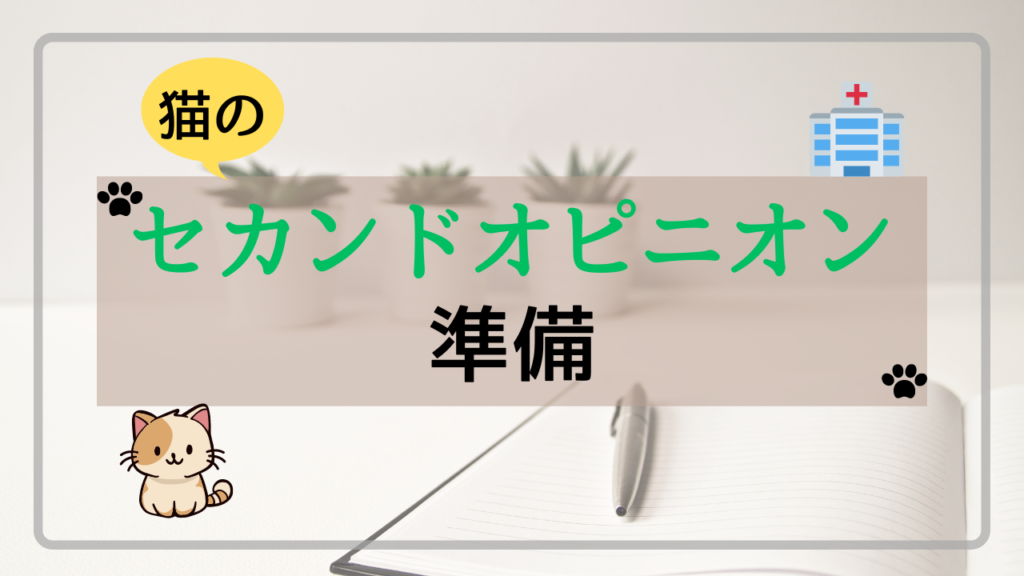 猫のセカンドオピニオンの準備