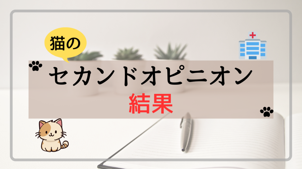 猫のセカンドオピニオンの結果