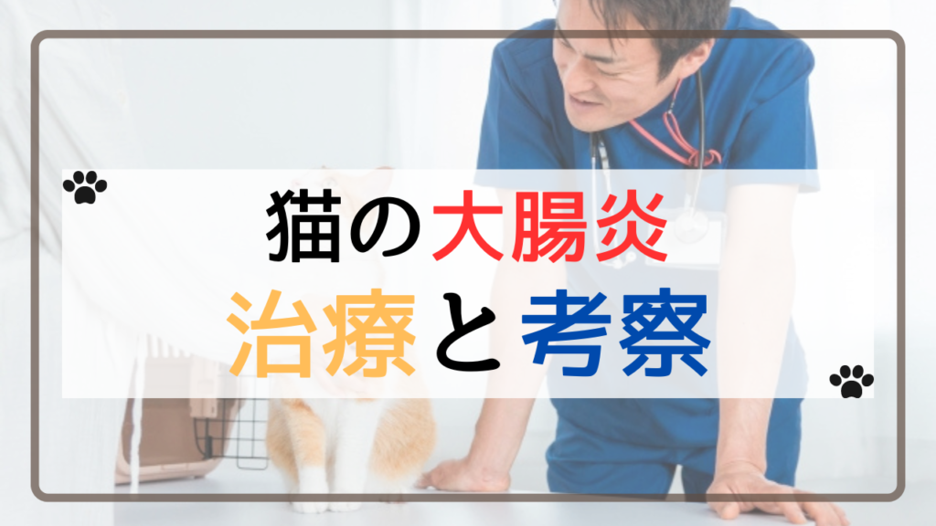 猫の大腸炎の治療と考察