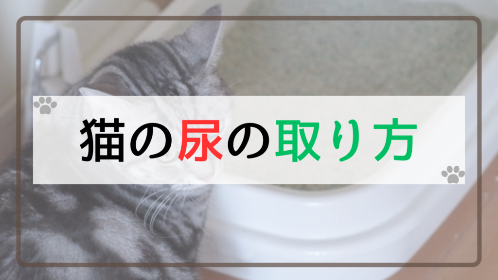 猫の尿の取り方