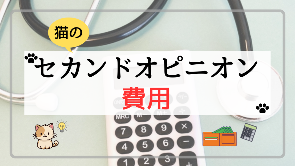 猫のセカンドオピニオンでかかった費用