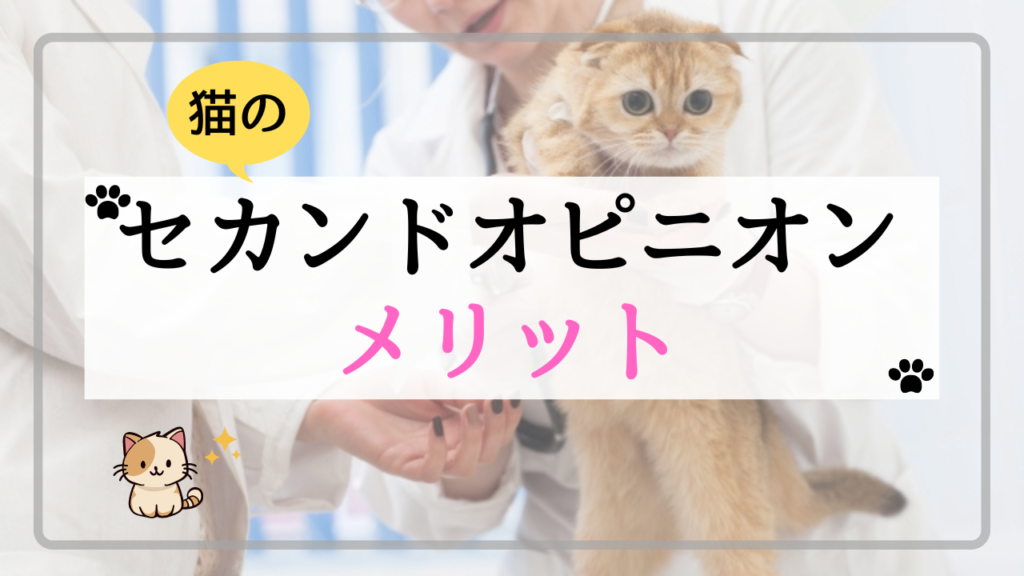 猫のセカンドオピニオンのメリット