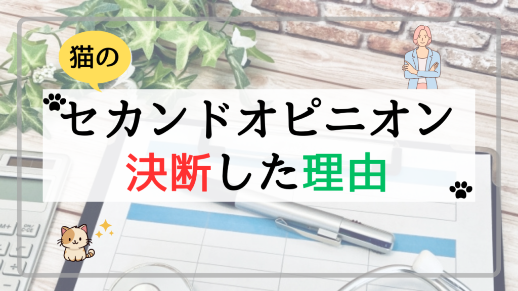 猫のセカンドオピニオンを決断した理由