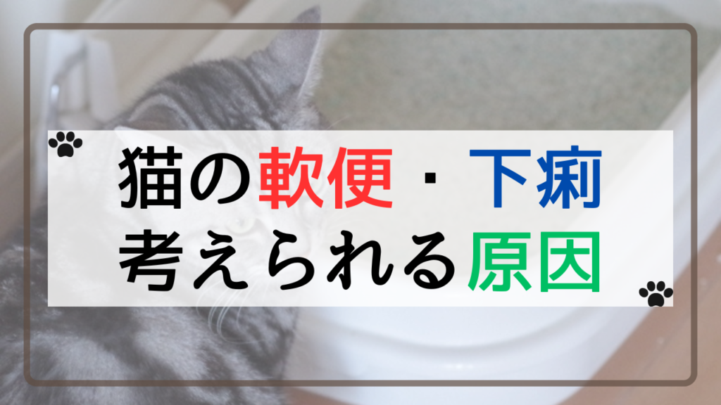 猫の軟便・下痢の考えられる原因