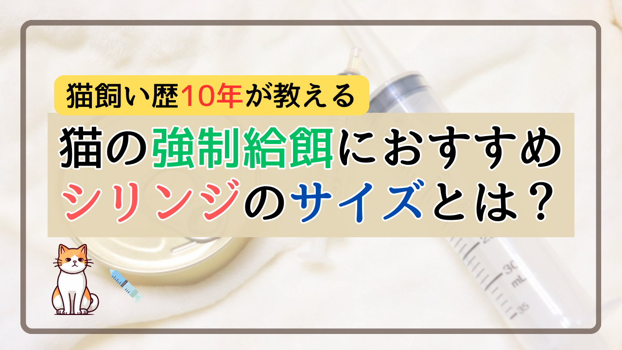 【猫飼い歴10年が教える】猫の強制給餌におすすめのシリンジのサイズとは？