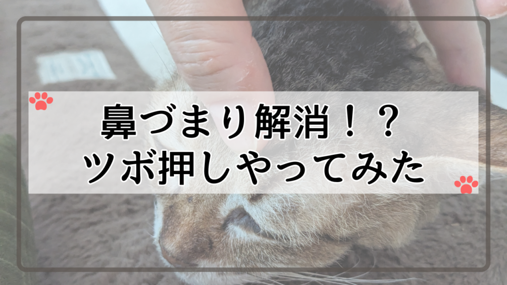 鼻づまり解消⁉ツボ押しやってみた