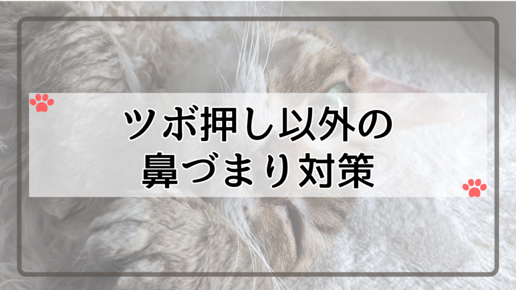 ツボ押し以外の鼻づまり対策