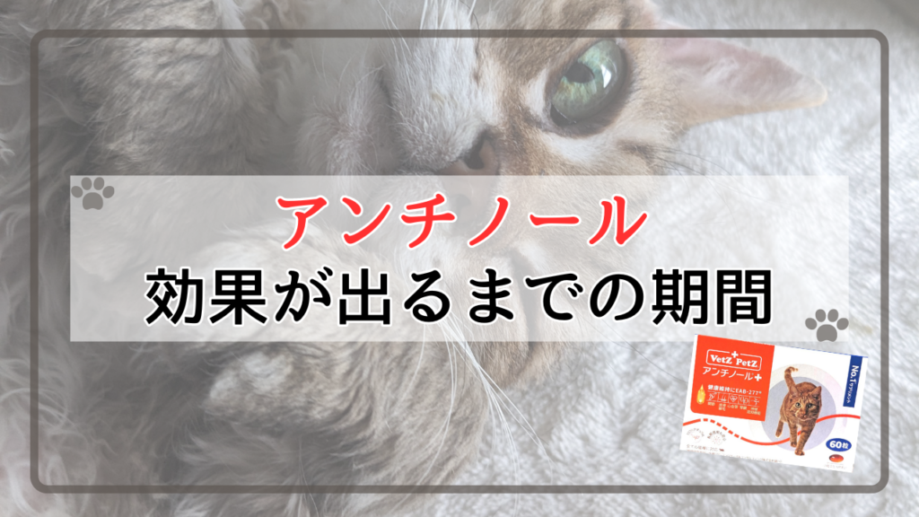 アンチ ノールの効果が出るまでの期間